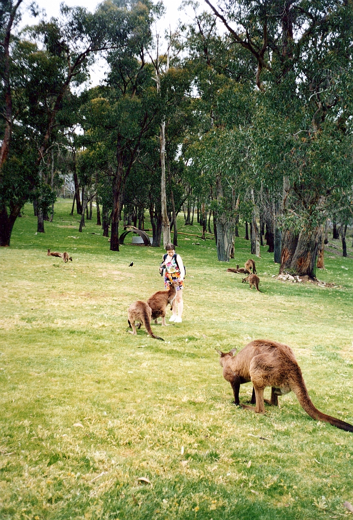 2000 - Australie 126G.jpg